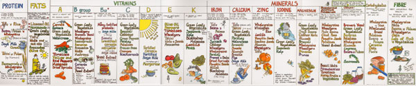 Vegan Nutrition Wall Chart