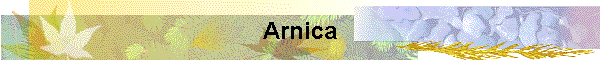 Arnica