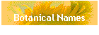 Botanical Names