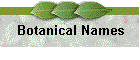 Botanical Names