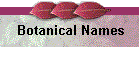 Botanical Names