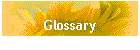 Glossary