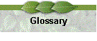 Glossary