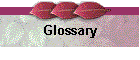 Glossary