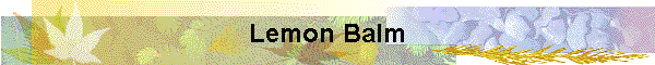 Lemon Balm
