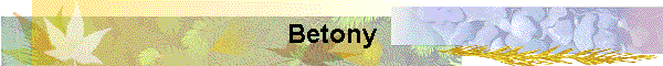 Betony