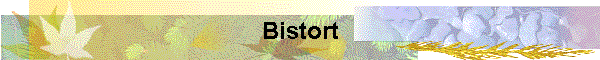 Bistort