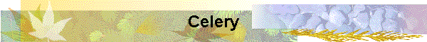 Celery