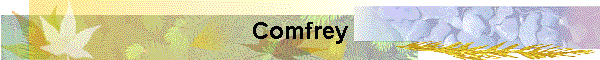 Comfrey