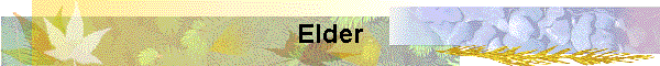 Elder