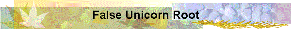 False Unicorn Root