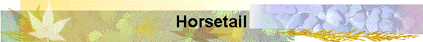 Horsetail