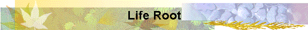 Life Root