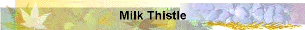 Milk Thistle