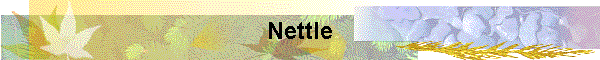 Nettle