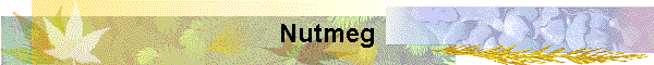 Nutmeg