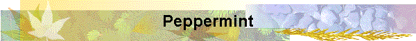 Peppermint