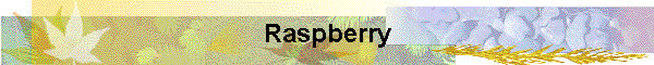 Raspberry