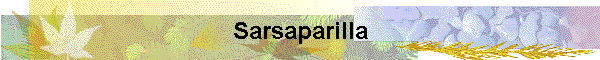 Sarsaparilla