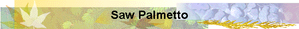 Saw Palmetto