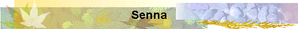 Senna
