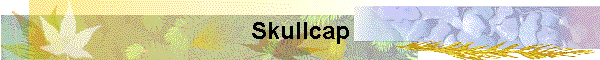 Skullcap