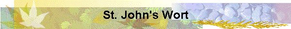 St. John's Wort