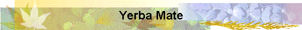 Yerba Mate